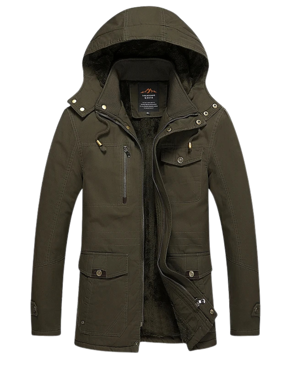 Elegant Padded Winter Jacket in Cotton